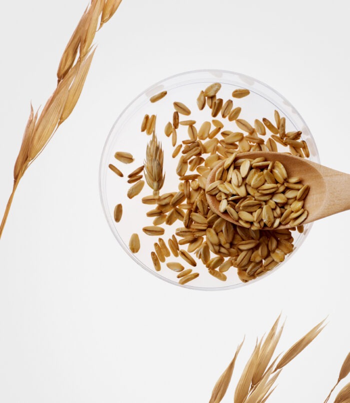 250320_퓨리토(1)4529_1