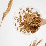 250320_퓨리토(1)4529_1