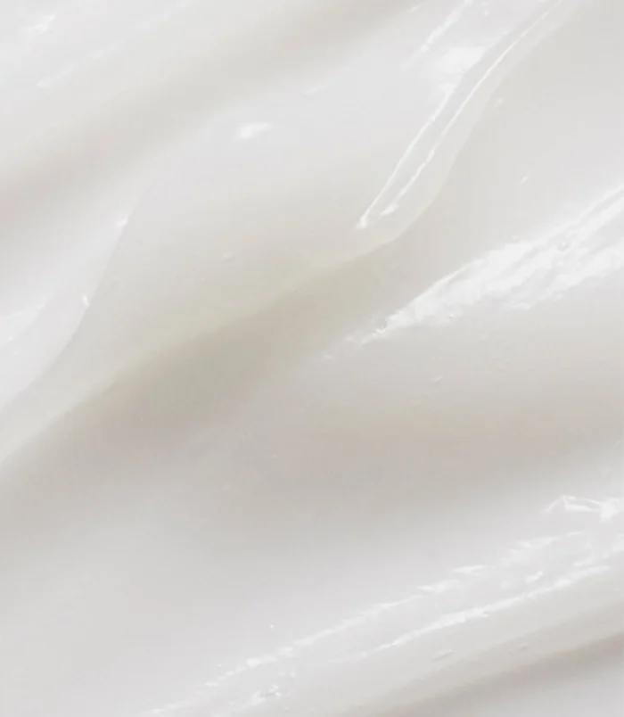 2ckczx0dwr469i4y3x6brkswt3icw88h 2ckczx0dwr469i4y3x6brkswt3icw88h