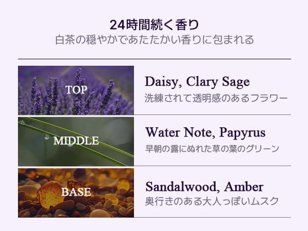 51y8pTtorbL._AC_ 51y8pTtorbL._AC_