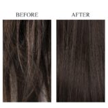 61u+UJTXpCL._SL1000_