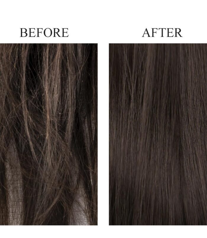 61u+UJTXpCL._SL1000_