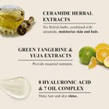 71DKYI9mndL._SL1500_