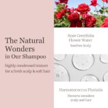 71sHQIxi+RL._SL1500_