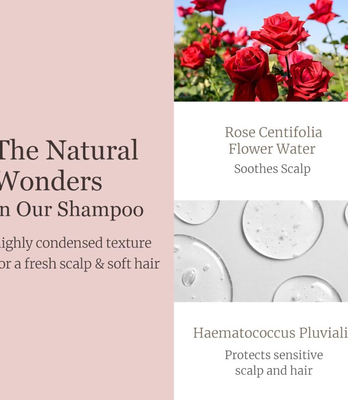 71sHQIxi+RL._SL1500_ 71sHQIxi+RL._SL1500_