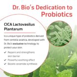 815W31Q+WtL._SL1500_