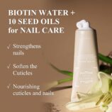 81TfacpKNGL._SL1500_