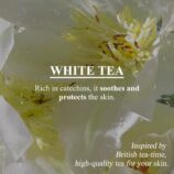 81iMmVHcc2L._SL1500_