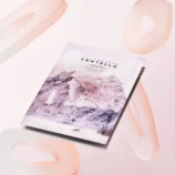 skin1004-poremizing-clarifying-mask-1215677836_1440x