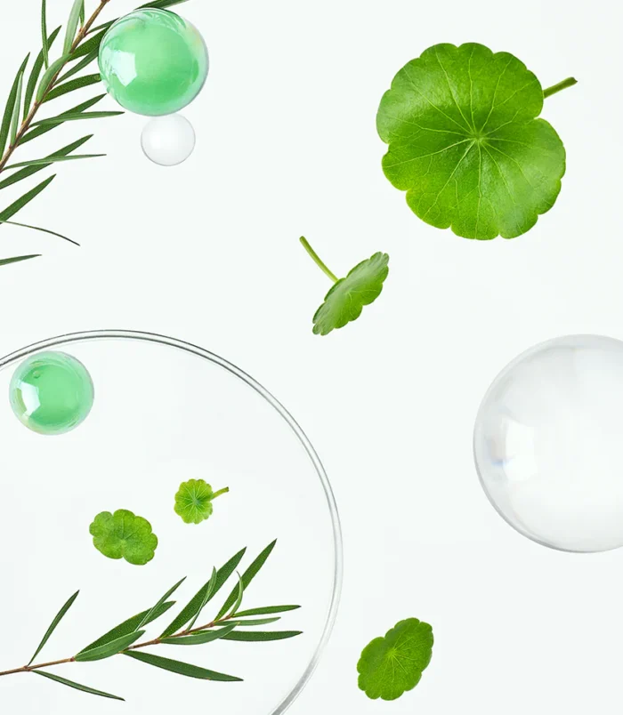 tocobo_picthum955_6_80291831-c4a0-40b7-abb3-ce75af37c0c9_2048x2048