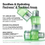 anua-us-ampoule-serum-azelaic-acid-10-hyaluron-redness-soothing-serum-1161173131