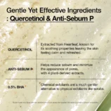 anua-us-cleanser-150ml-heartleaf-quercetinol-pore-deep-cleansing-foam-1161173158
